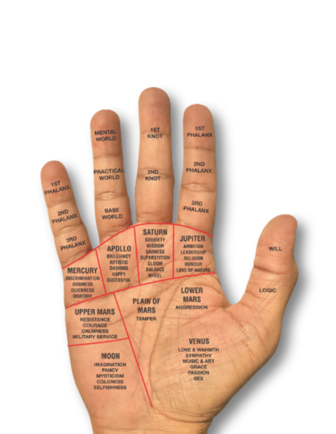 hand png webis